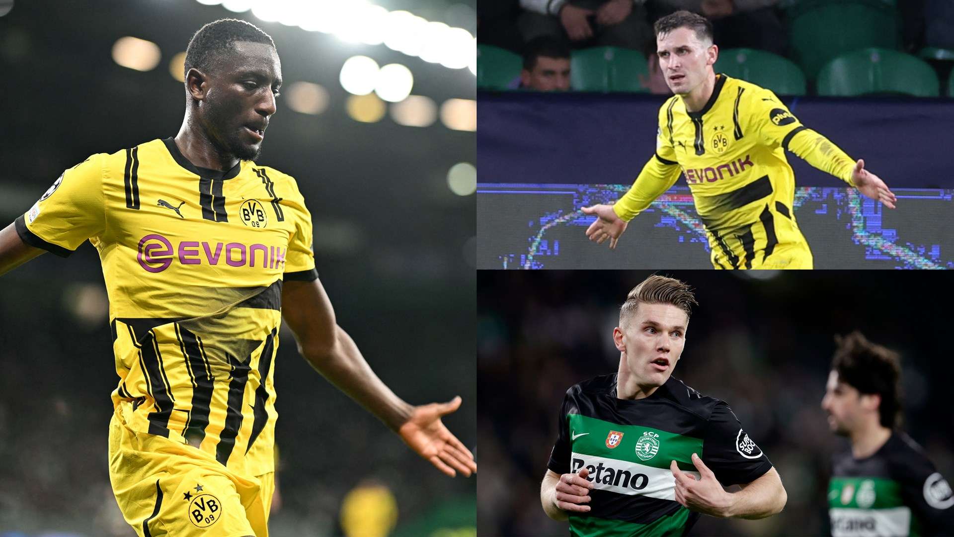 的球队文化 的球队文化