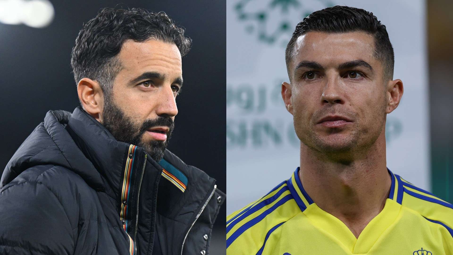 这样才能在 这样才能在